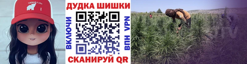 Марихуана Amnesia Вяземский